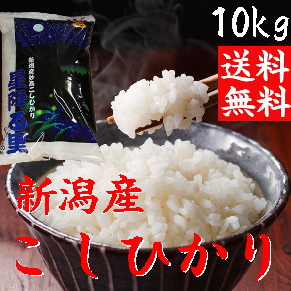 新米 10kg 送料無料 令和4年 新潟産【コシヒカリ 10kg】送料無料 白米10キロ送料無料 新潟県産 こしひかり 10キロ （10キロ×